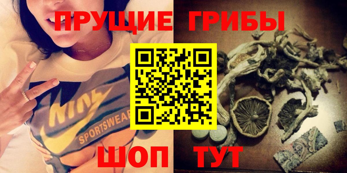 Галлюциногенные грибы GOLDEN TEACHER  Вход с VPN  Гуково  Галлюциногенные грибы Psilocybe 